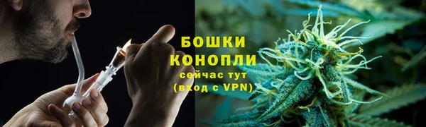 метадон Новодвинск