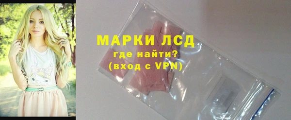 a pvp Новозыбков