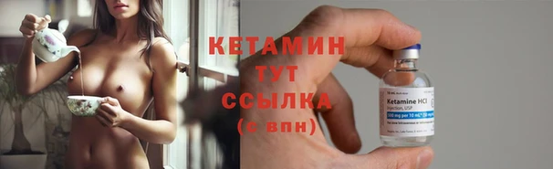 крисы Новокубанск