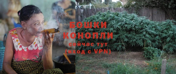 метадон Новодвинск