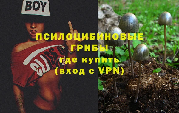 метадон Новодвинск