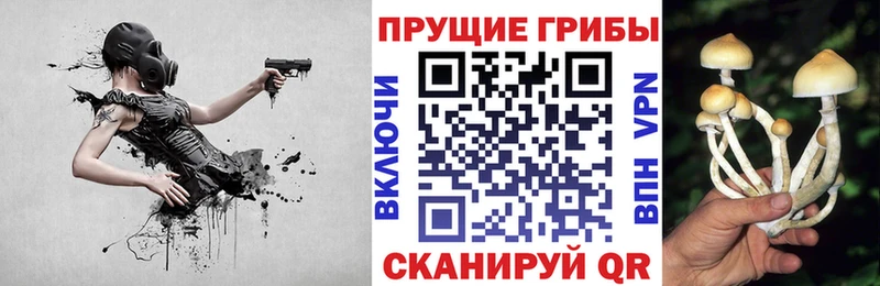 Псилоцибиновые грибы Magic Shrooms  купить наркотики сайты  Калачинск 
